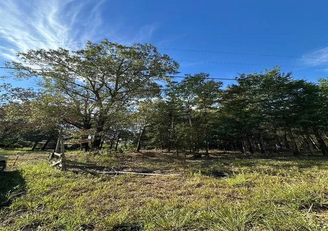 Photo 4 of Land for sale at 234 Private Road 34615, Sumner, TX 75486 | MLS# 20741383 | Listing updated on 2026-09-12