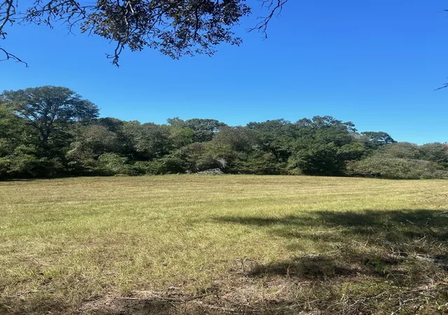 Photo 3 of Land for sale at 0000 Fm 607 S, Murchison, TX 75778 | MLS# 20747467 | Listing updated on 2026-09-28