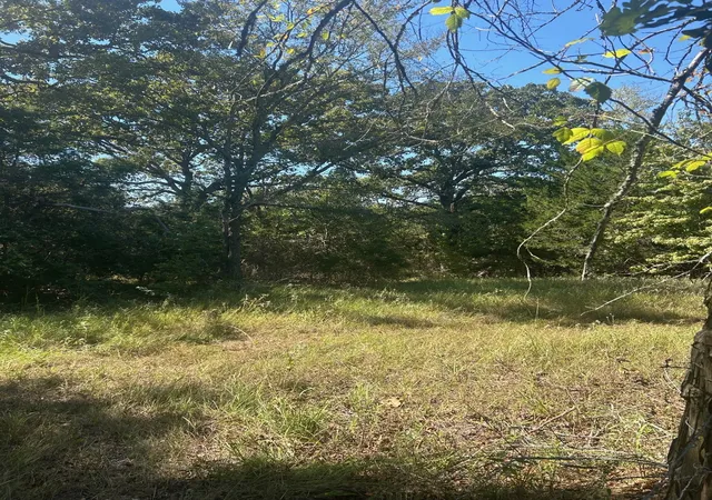 Photo 4 of Land for sale at 0000 Fm 607 S, Murchison, TX 75778 | MLS# 20747467 | Listing updated on 2026-09-28