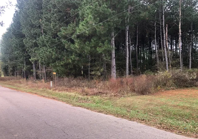 Photo 1 of Land for sale at Tbd County Road 4130, Pittsburg, TX 75686 | MLS# 20775096 | Listing updated on 2026-07-30