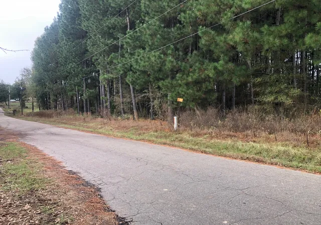 Photo 3 of Land for sale at Tbd County Road 4130, Pittsburg, TX 75686 | MLS# 20775096 | Listing updated on 2026-07-30