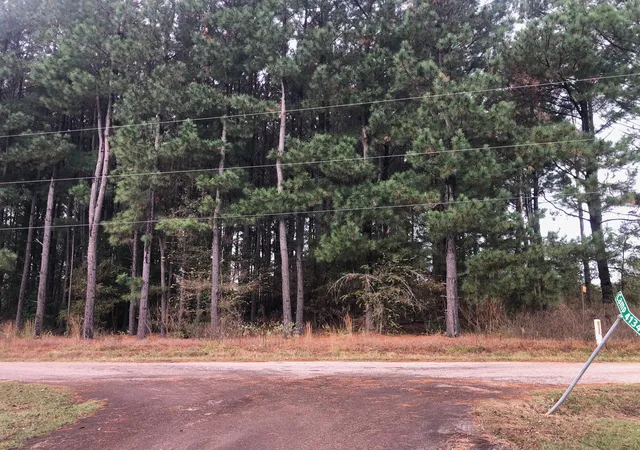 Photo 3 of Land for sale at Tbd County Road 4130, Pittsburg, TX 75686 | MLS# 20775096 | Listing updated on 2026-07-30
