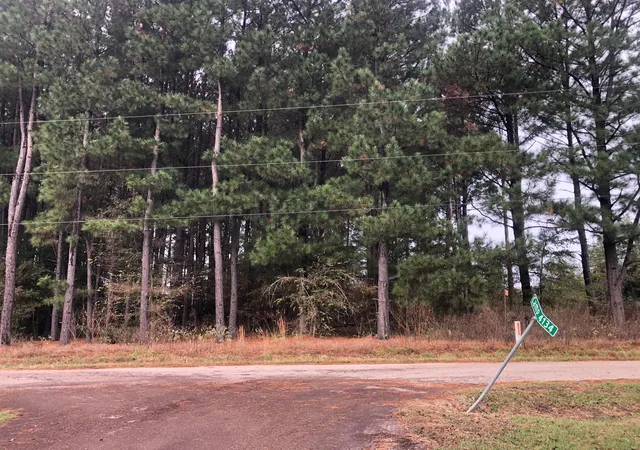 Photo 4 of Land for sale at Tbd County Road 4130, Pittsburg, TX 75686 | MLS# 20775096 | Listing updated on 2026-07-30