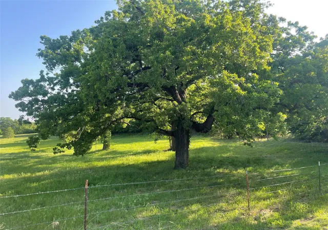 Photo 2 of Land for sale at 858 County Road 2395, Alvord, TX 76225 | MLS# 20826615 | Listing updated on 2026-09-10