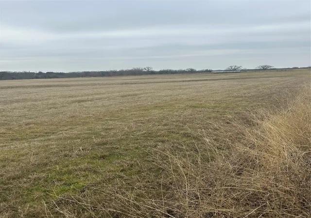 Photo 1 of Land for sale at 4365 S Fm 730, Decatur, TX 76234 | MLS# 20838269 | Listing updated on 2026-07-29