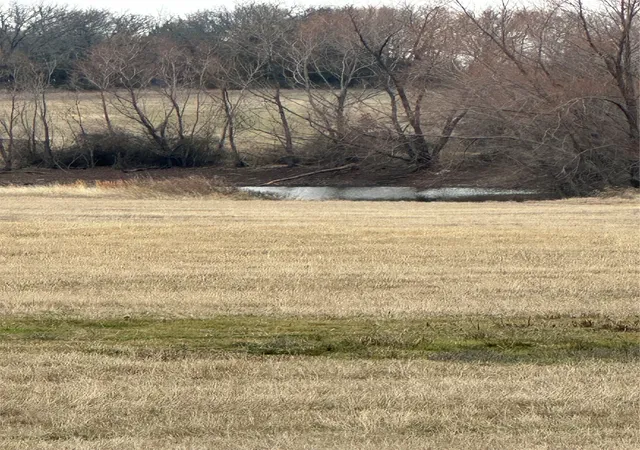 Photo 2 of Land for sale at 4365 S Fm 730, Decatur, TX 76234 | MLS# 20838269 | Listing updated on 2026-07-29