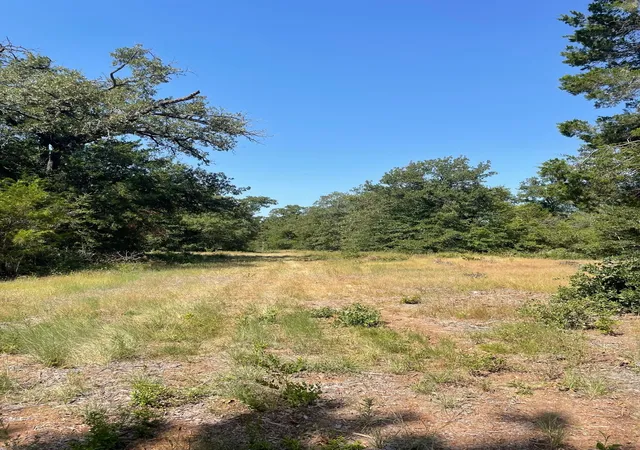 Photo 4 of House for sale at 00 Tbd 828 Lcr 828, Groesbeck, TX 76642 | MLS# 20843812 | Listing updated on 2026-07-29
