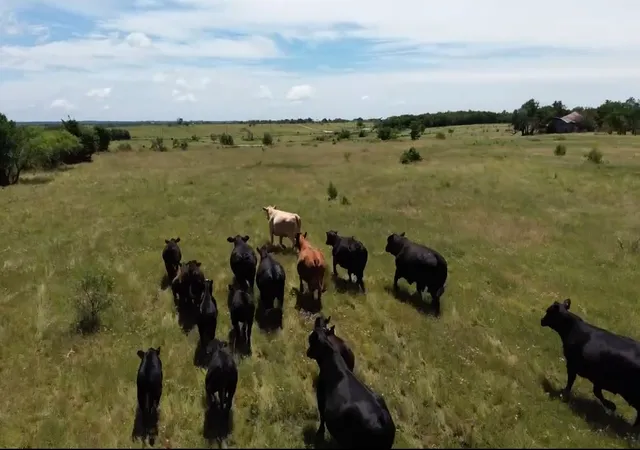 Photo 1 of Land for sale at 75 Acres Wright & Keyes Rd, Sherman, TX 75092 | MLS# 20858540 | Listing updated on 2026-07-29