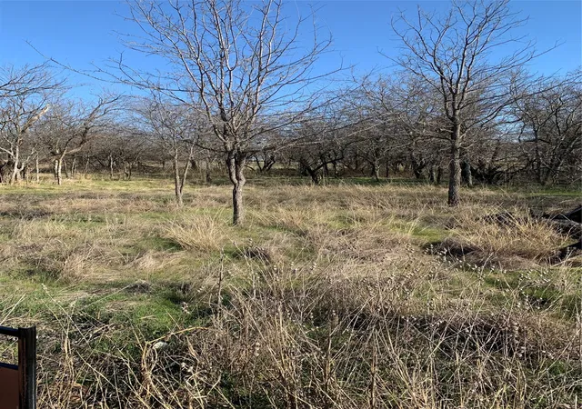 Photo 2 of Sale Pending at Lot 22 Cimmarron Ct, Bridgeport, TX 76426 | MLS# 20867768 | Listing updated on 2026-09-14