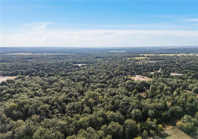 Photo 10 of Land for sale at Tbd W Fm 489, Teague, TX 75860 | MLS# 226866 | Listing updated on 2026-08-02