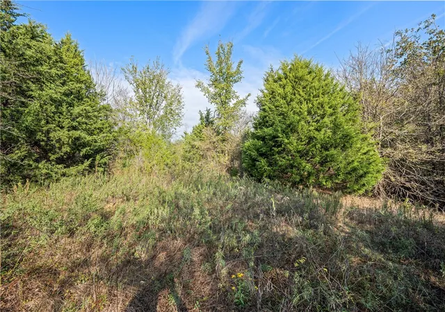 Photo 3 of Land for sale at Tbd W Fm 489, Teague, TX 75860 | MLS# 226866 | Listing updated on 2026-08-02