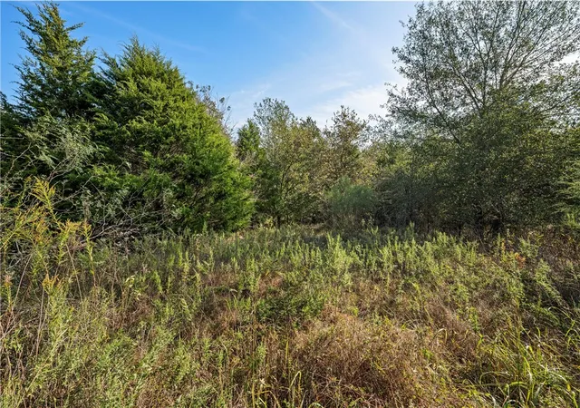 Photo 4 of Land for sale at Tbd W Fm 489, Teague, TX 75860 | MLS# 226866 | Listing updated on 2026-08-02
