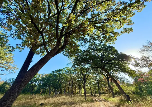Photo 3 of Land for sale at 264 County Road 1452, Bonham, TX 75418 | MLS# 20903430 | Listing updated on 2026-09-14