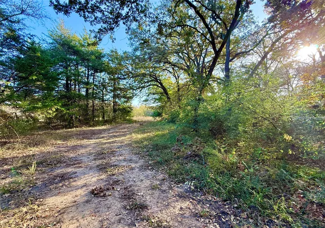 Photo 3 of Land for sale at 264 County Road 1452, Bonham, TX 75418 | MLS# 20903430 | Listing updated on 2026-09-14