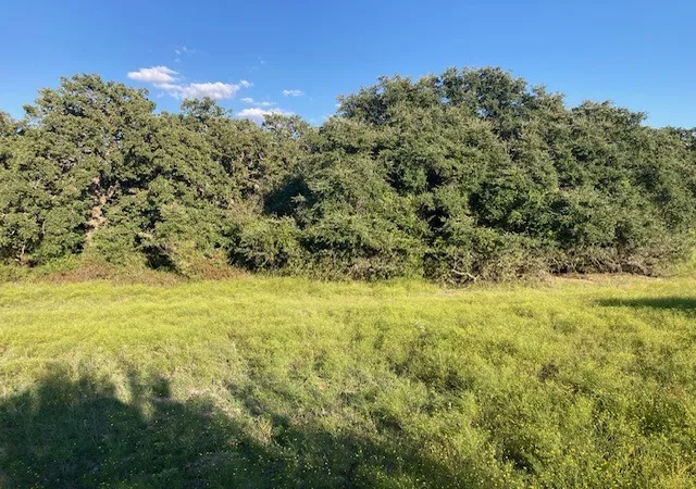 Photo 2 of Land for sale at Tbd Cr 517, Stephenville, TX 76401 | MLS# 20855645 | Listing updated on 2026-09-14