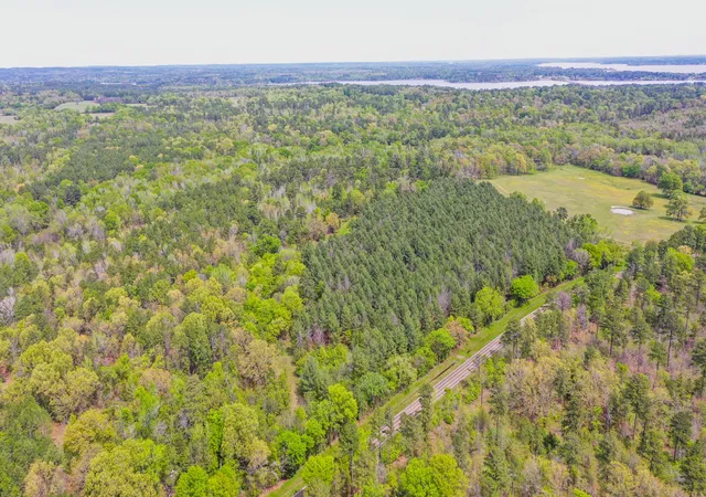 Land for sale at 00 Fm 315, Larue, TX 75770 | MLS# 20914618
