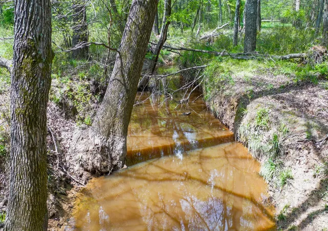 Photo 24 of Land for sale at 00 Fm 315, Larue, TX 75770 | MLS# 20914618 | Listing updated on 2026-08-01