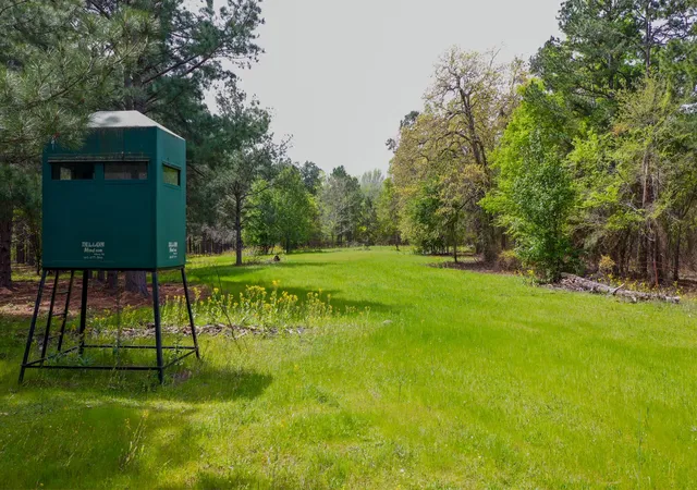 Photo 2 of Land for sale at 00 Fm 315, Larue, TX 75770 | MLS# 20914618 | Listing updated on 2026-08-01