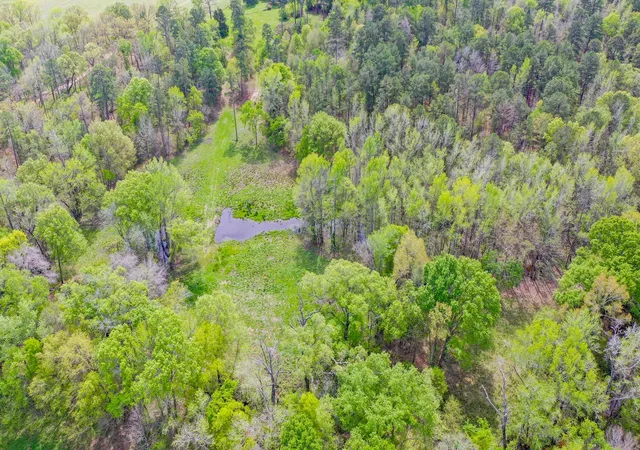 Photo 3 of Land for sale at 00 Fm 315, Larue, TX 75770 | MLS# 20914618 | Listing updated on 2026-08-01