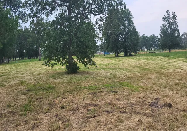 Photo 1 of Land for sale at Tbd Cr 1730, Yantis, TX 75497 | MLS# 20942445 | Listing updated on 2026-07-29
