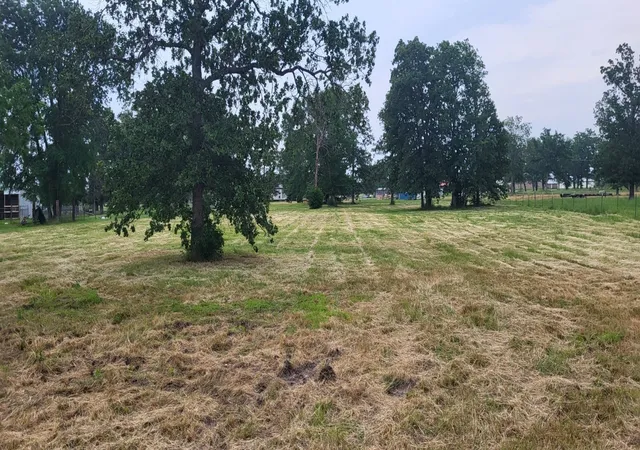 Photo 2 of Land for sale at Tbd Cr 1730, Yantis, TX 75497 | MLS# 20942445 | Listing updated on 2026-07-29