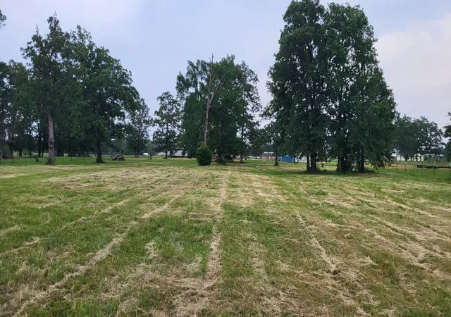 Photo 3 of Land for sale at Tbd Cr 1730, Yantis, TX 75497 | MLS# 20942445 | Listing updated on 2026-07-29