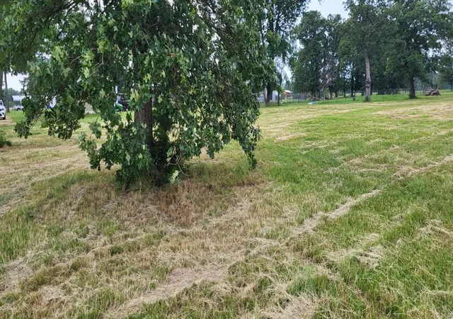 Photo 3 of Land for sale at Tbd Cr 1730, Yantis, TX 75497 | MLS# 20942445 | Listing updated on 2026-07-29