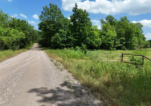 Photo 2 of Land for sale at 11 Tbd Cr2770 Cr 2770, Honey Grove, TX 75446 | MLS# 20949734 | Listing updated on 2026-07-30