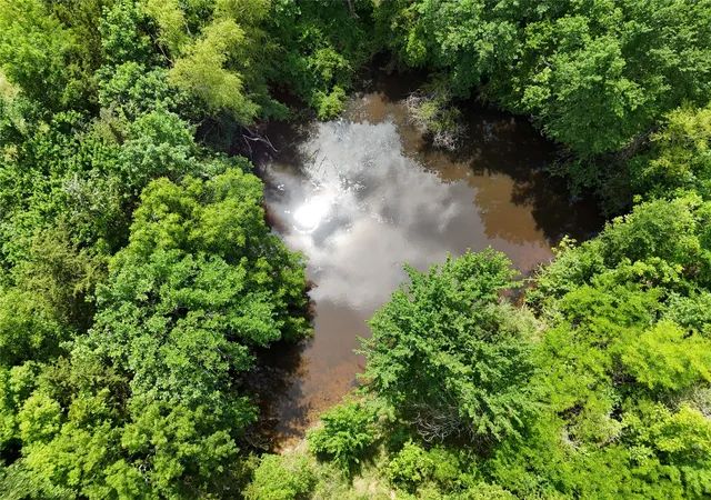 Photo 8 of Land for sale at 11 Tbd Cr2770 Cr 2770, Honey Grove, TX 75446 | MLS# 20949734 | Listing updated on 2026-07-30