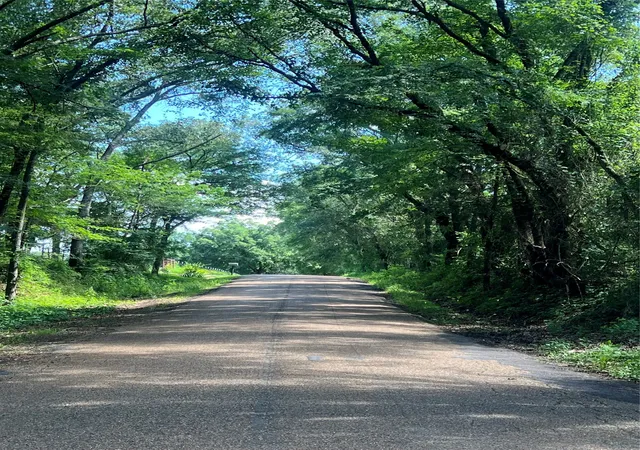 Photo 2 of Land for sale at Tbd Vz 1913, Fruitvale, TX 75127 | MLS# 20965893 | Listing updated on 2026-07-29