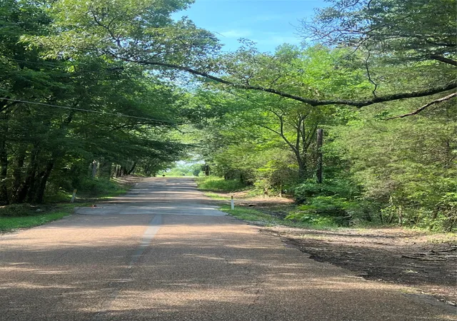 Photo 3 of Land for sale at Tbd Vz 1913, Fruitvale, TX 75127 | MLS# 20965893 | Listing updated on 2026-07-29