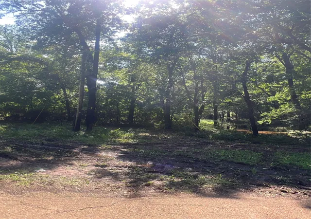 Photo 3 of Land for sale at Tbd Vz 1913, Fruitvale, TX 75127 | MLS# 20965893 | Listing updated on 2026-07-29
