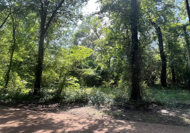 Photo 4 of Land for sale at Tbd Vz 1913, Fruitvale, TX 75127 | MLS# 20965893 | Listing updated on 2026-07-29