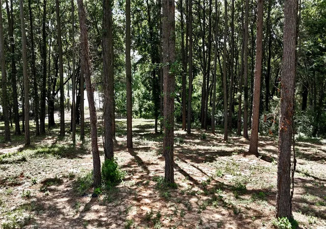 Photo 4 of Land for sale at Lot 340 Grand View Dr, Athens, TX 75752 | MLS# 20975093 | Listing updated on 2026-07-30