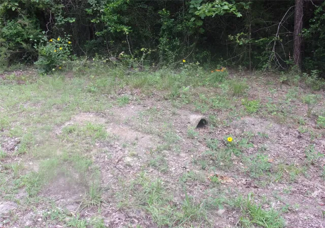 Photo 2 of Sale Pending at Tbd Holly Glen, Murchison, TX 75778 | MLS# 20994542 | Listing updated on 2026-08-02