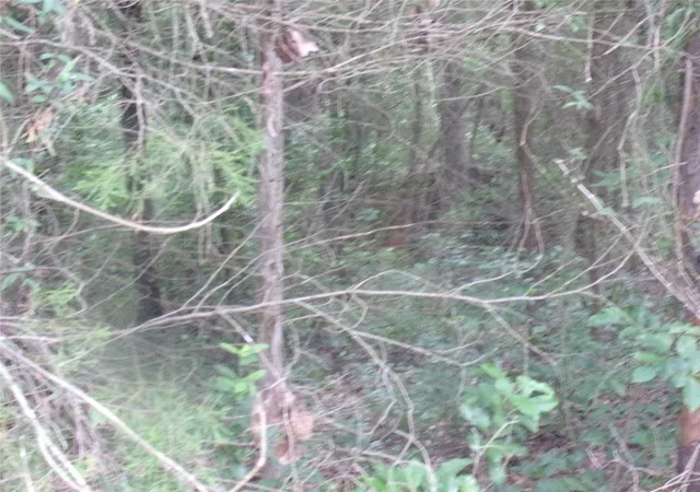 Photo 3 of Sale Pending at Tbd Holly Glen, Murchison, TX 75778 | MLS# 20994542 | Listing updated on 2026-08-02