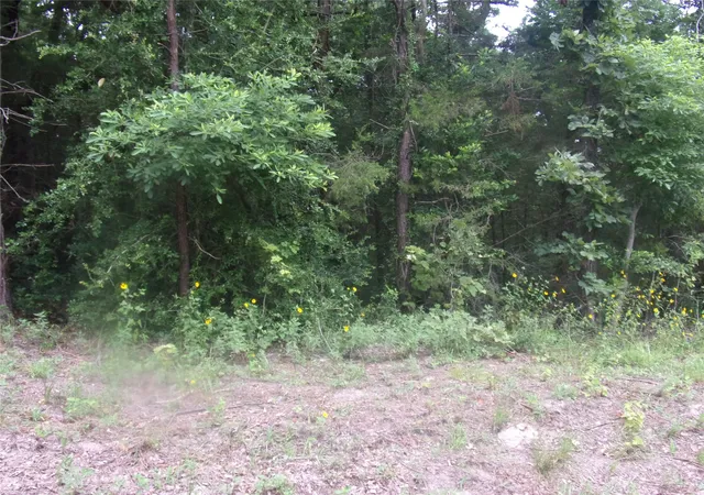 Photo 3 of Sale Pending at Tbd Holly Glen, Murchison, TX 75778 | MLS# 20994542 | Listing updated on 2026-08-02