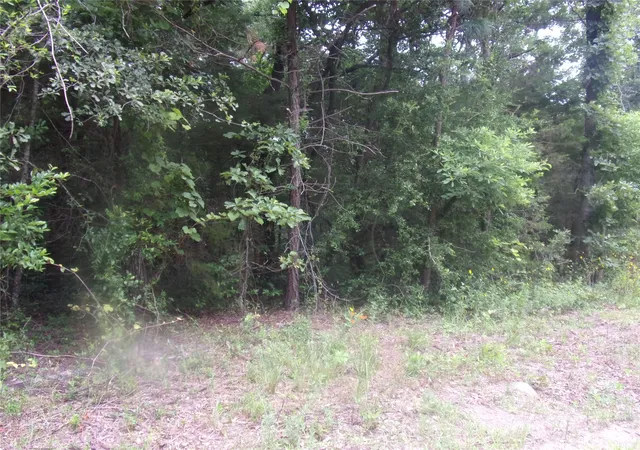 Photo 4 of Sale Pending at Tbd Holly Glen, Murchison, TX 75778 | MLS# 20994542 | Listing updated on 2026-08-02