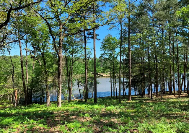 Photo 1 of Land for sale at 000 Fm 3506, Frankston, TX 75763 | MLS# 21001199 | Listing updated on 2026-10-20