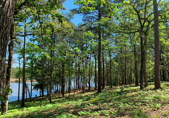 Photo 2 of Land for sale at 000 Fm 3506, Frankston, TX 75763 | MLS# 21001199 | Listing updated on 2026-10-20