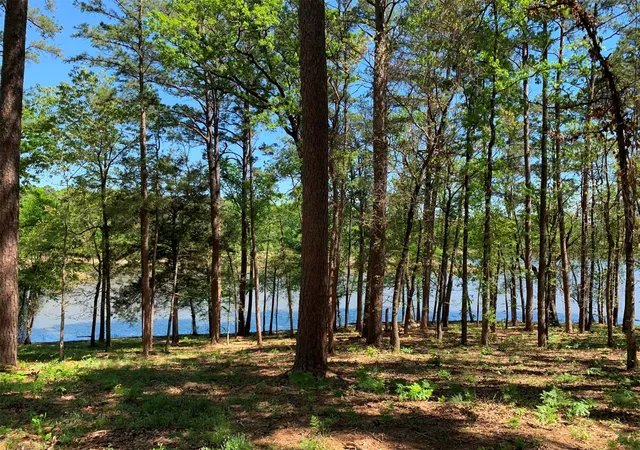 Photo 3 of Land for sale at 000 Fm 3506, Frankston, TX 75763 | MLS# 21001199 | Listing updated on 2026-10-20