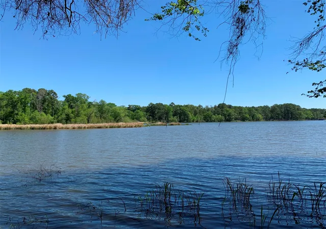 Photo 4 of Land for sale at 000 Fm 3506, Frankston, TX 75763 | MLS# 21001199 | Listing updated on 2026-10-20