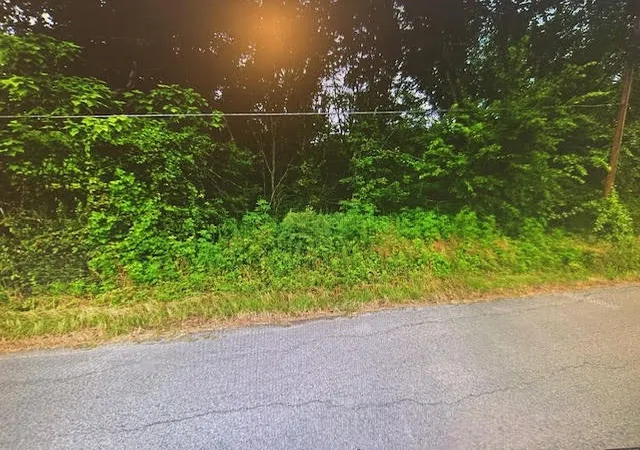 Photo 2 of Land for sale at 220 Williford St, Fairfield, TX 75840 | MLS# 21014247 | Listing updated on 2026-09-10