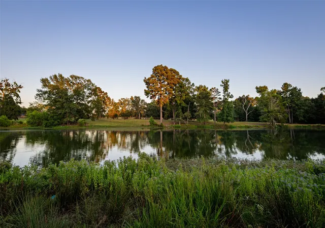Photo 2 of Land for sale at 12701 Fm 2010, Chandler, TX 75758 | MLS# 21020743 | Listing updated on 2026-07-30