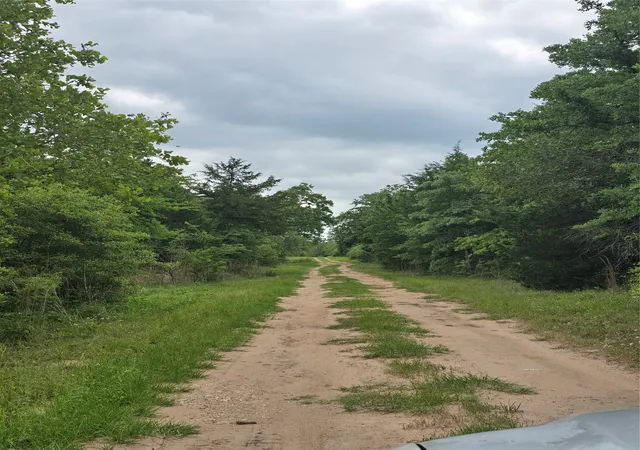 Photo 3 of Land for sale at 555 Private Road 3428, Milano, TX | MLS# 21023967 | Listing updated on 2026-09-08