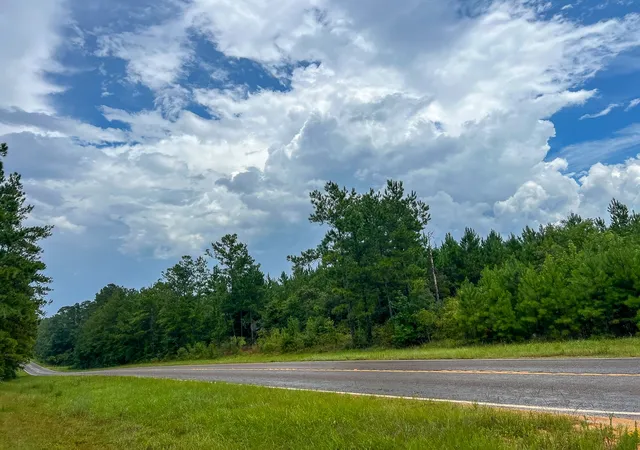 Photo 4 of Land for sale at 0 Fm 2939, Newton, TX 75966 | MLS# 21032294 | Listing updated on 2026-07-31