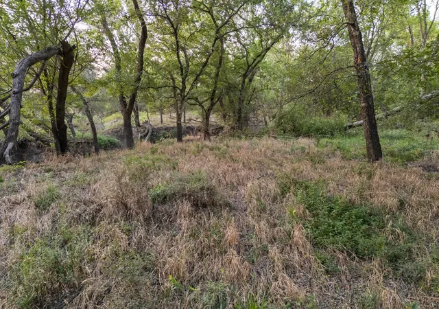 Photo 3 of Sale Pending at Tbd W State Hwy 164, Mart, TX 76664 | MLS# 21043076 | Listing updated on 2026-07-31