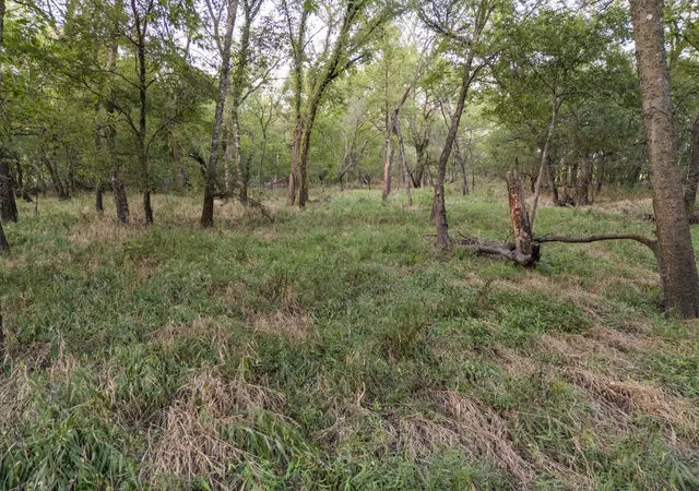 Photo 3 of Sale Pending at Tbd W State Hwy 164, Mart, TX 76664 | MLS# 21043076 | Listing updated on 2026-07-31