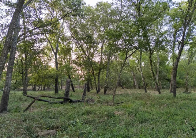 Photo 4 of Sale Pending at Tbd W State Hwy 164, Mart, TX 76664 | MLS# 21043076 | Listing updated on 2026-07-31