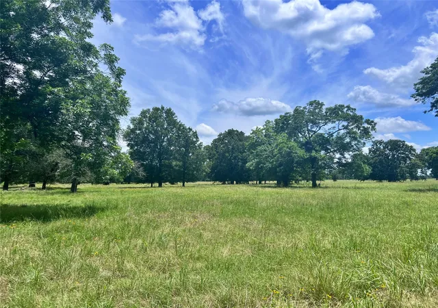 Photo 1 of Land for sale at 695 County Road 1210, Lake Creek, TX 75450 | MLS# 21052676 | Listing updated on 2026-09-08